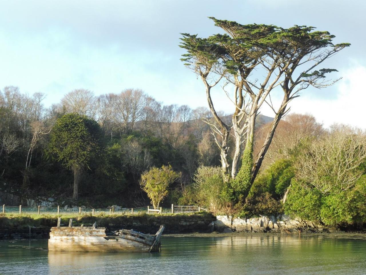 Island View House Bed & Breakfast Castletownbere Exterior photo